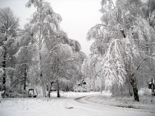 Как выжить без  электричества во занесенной снегом деревне